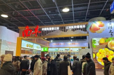 农展馆展销会,汇聚农业盛宴，展现丰收成果”