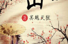 江山尽风流小说,一代帝王的传奇人生