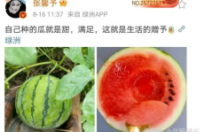 娱乐圈吃瓜的图片大全,揭秘明星幕后生活瞬间