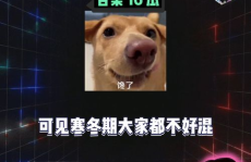 娱乐吃瓜课