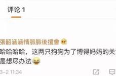 吃瓜娱乐神盾,娱乐玩法新潮流