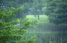 有关雨的古诗,古诗词中的雨景描绘与情感抒发”