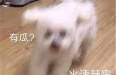 娱乐圈吃瓜微信聊天,微信聊天记录中的八卦风云